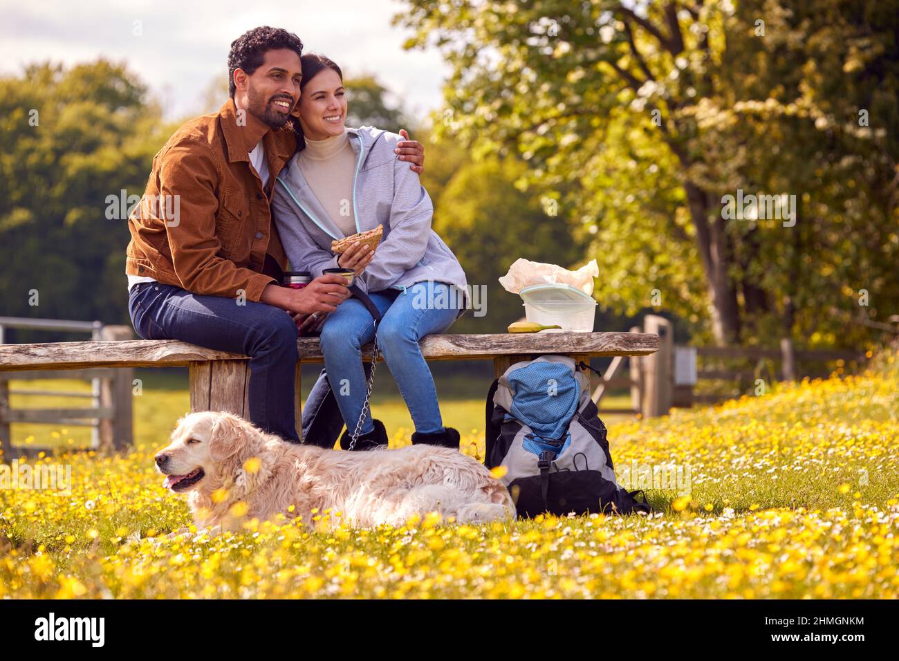 Couple With Pet Golden Retriever Dog On Walk In Countryside Sit On Bench And Enjoy Picnic