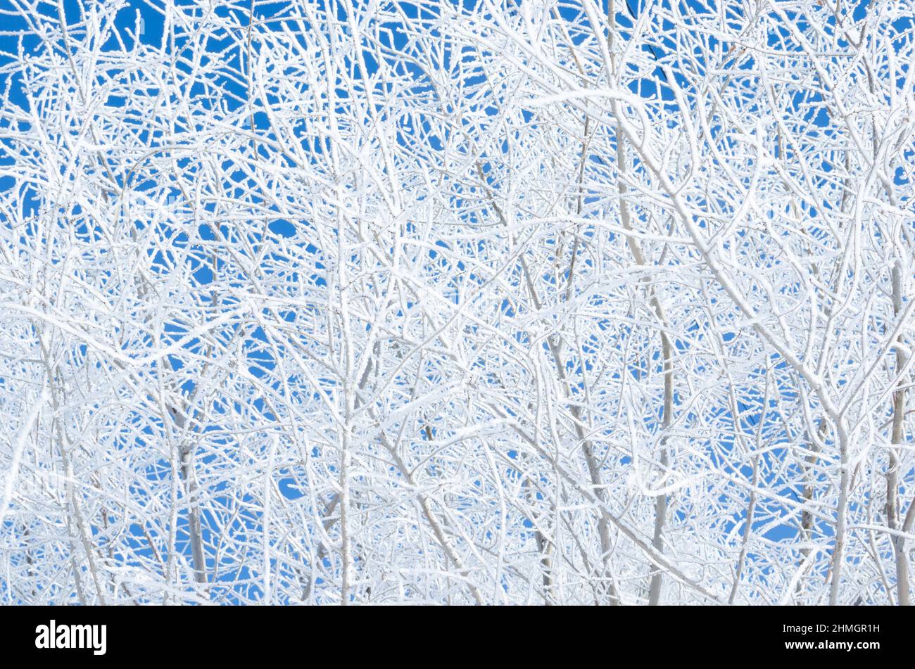 White fog blue background cold hi-res stock photography and images - Alamy
