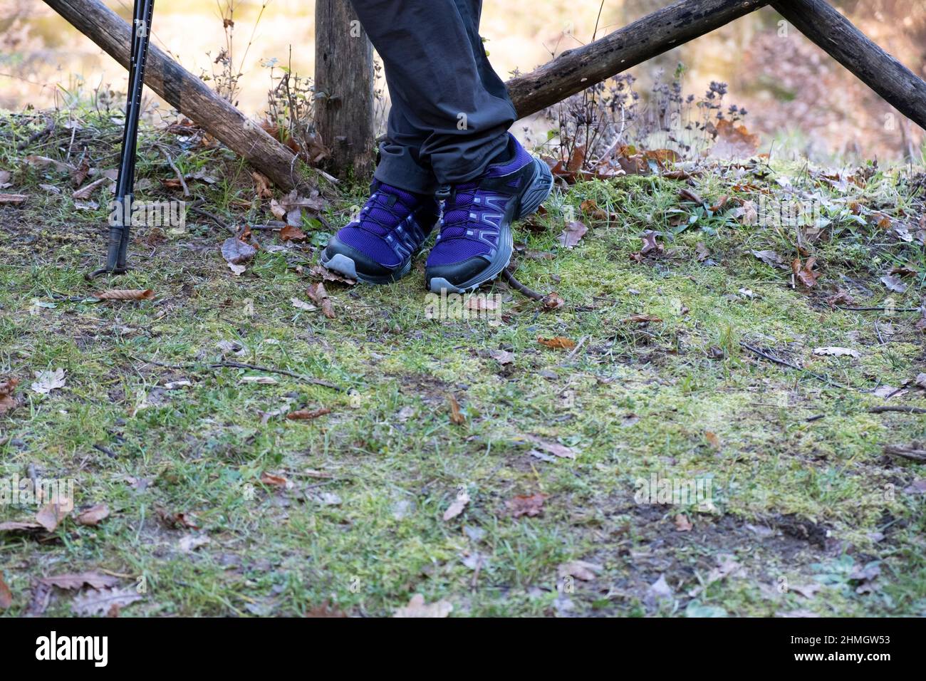 Hiking or trekking shoes. Technical outdoor boots. Stock Photo
