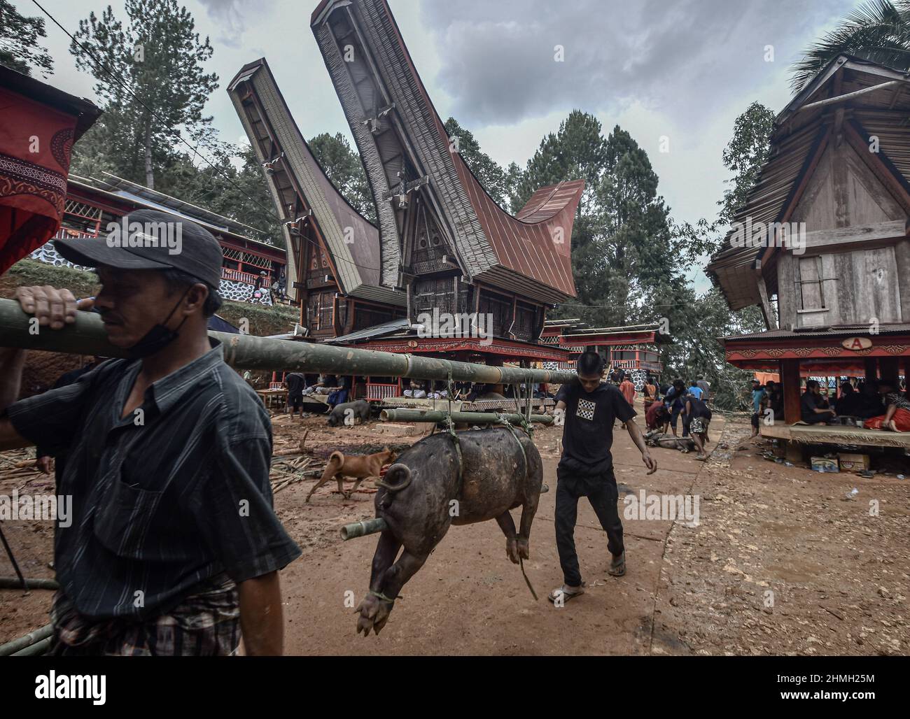 February 10, 2022, toraja, South Sulawesi, Indonesia: Toraja people ...