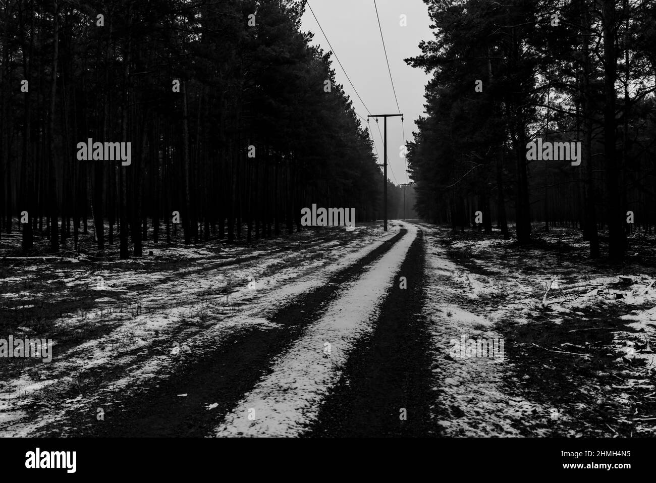 Forest road in winter with a little snow, shallow depth of field, depressed mood, black and white Stock Photo