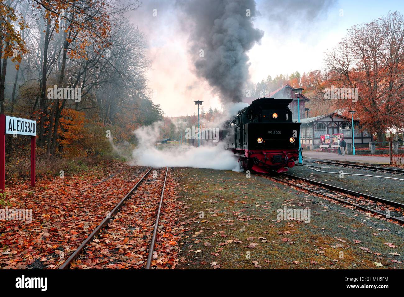 Selketalbahn at the exit in the station Alexisbad, Harzgerode, Harz, Saxony-Anhalt, Germany Stock Photo