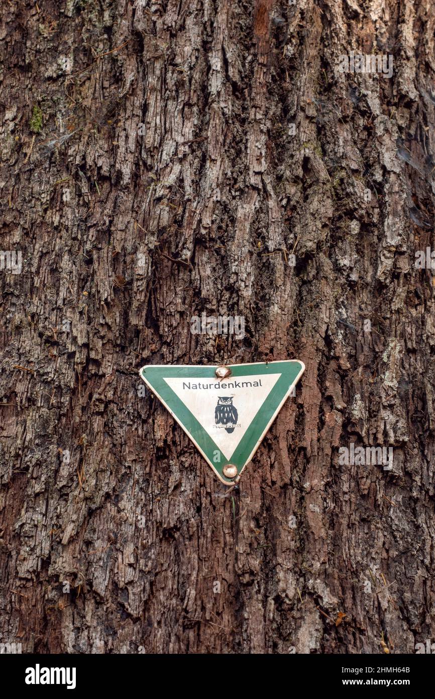 Plaque natural monument on tree trunk, Mettlach, Saarland, Germany Stock Photo