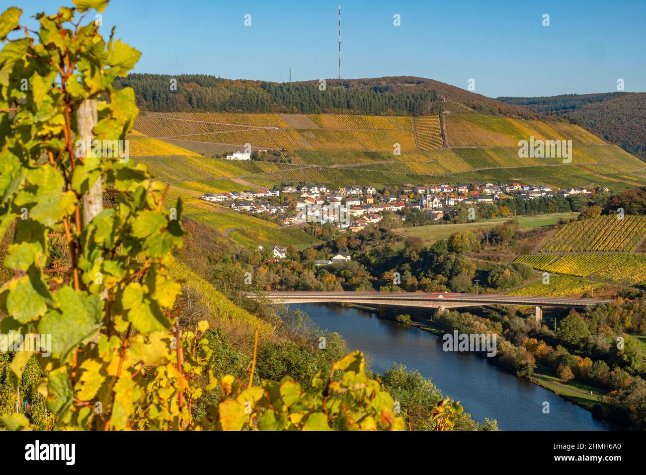 Ockfen wine village with Ockfener Bockstein vineyards, Saar Valley, Rhineland-Palatinate, Germany Stock Photo