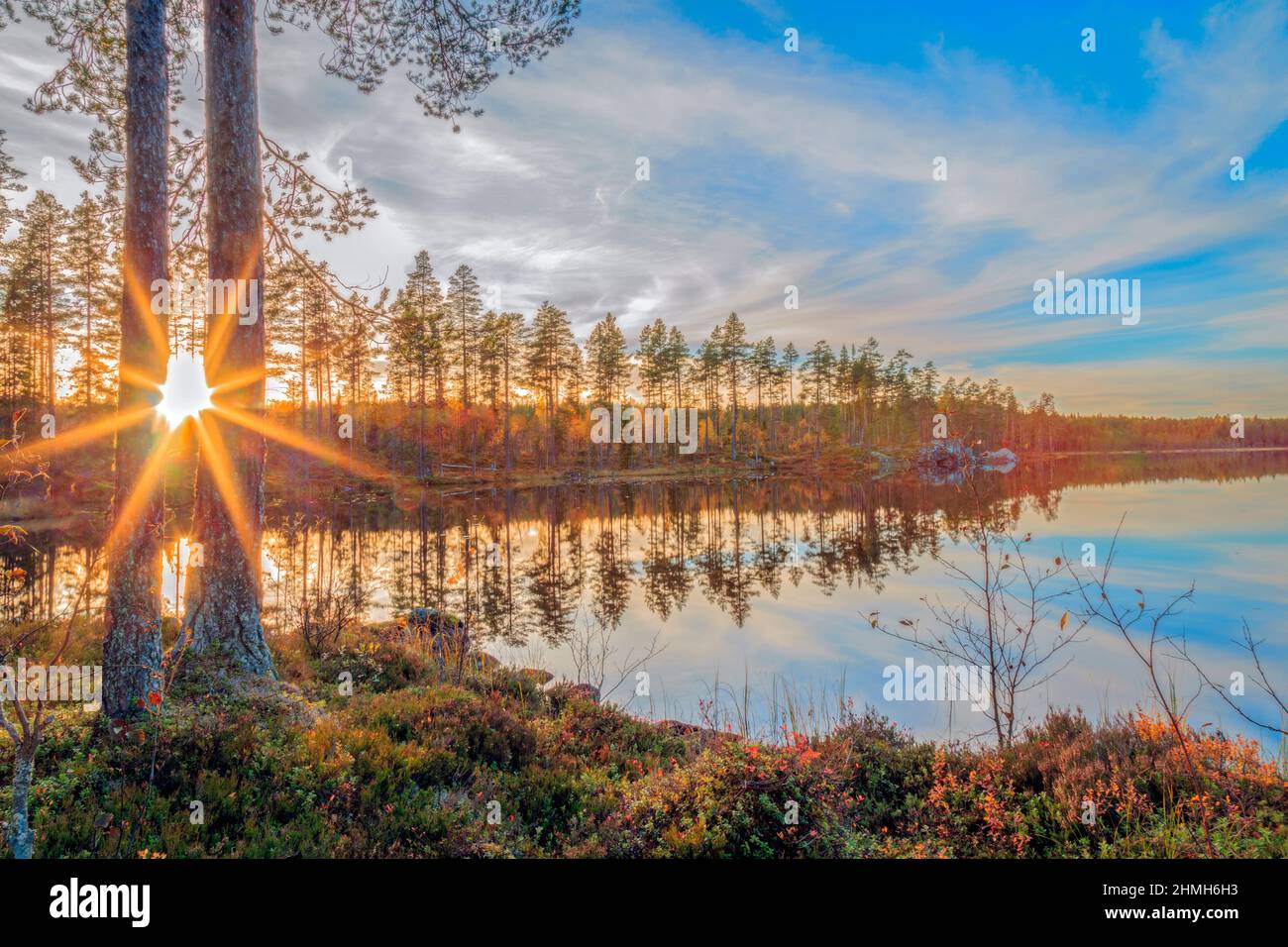 sun flare and lake with trees and blue hour in autumn Stock Photo