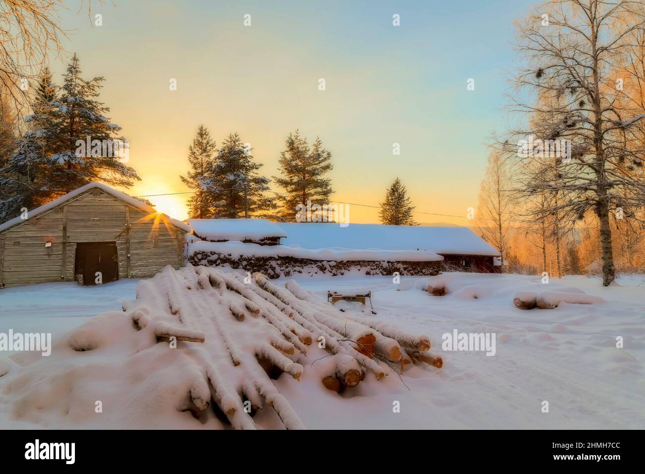 old barn with fire wood in winter landscape Stock Photo