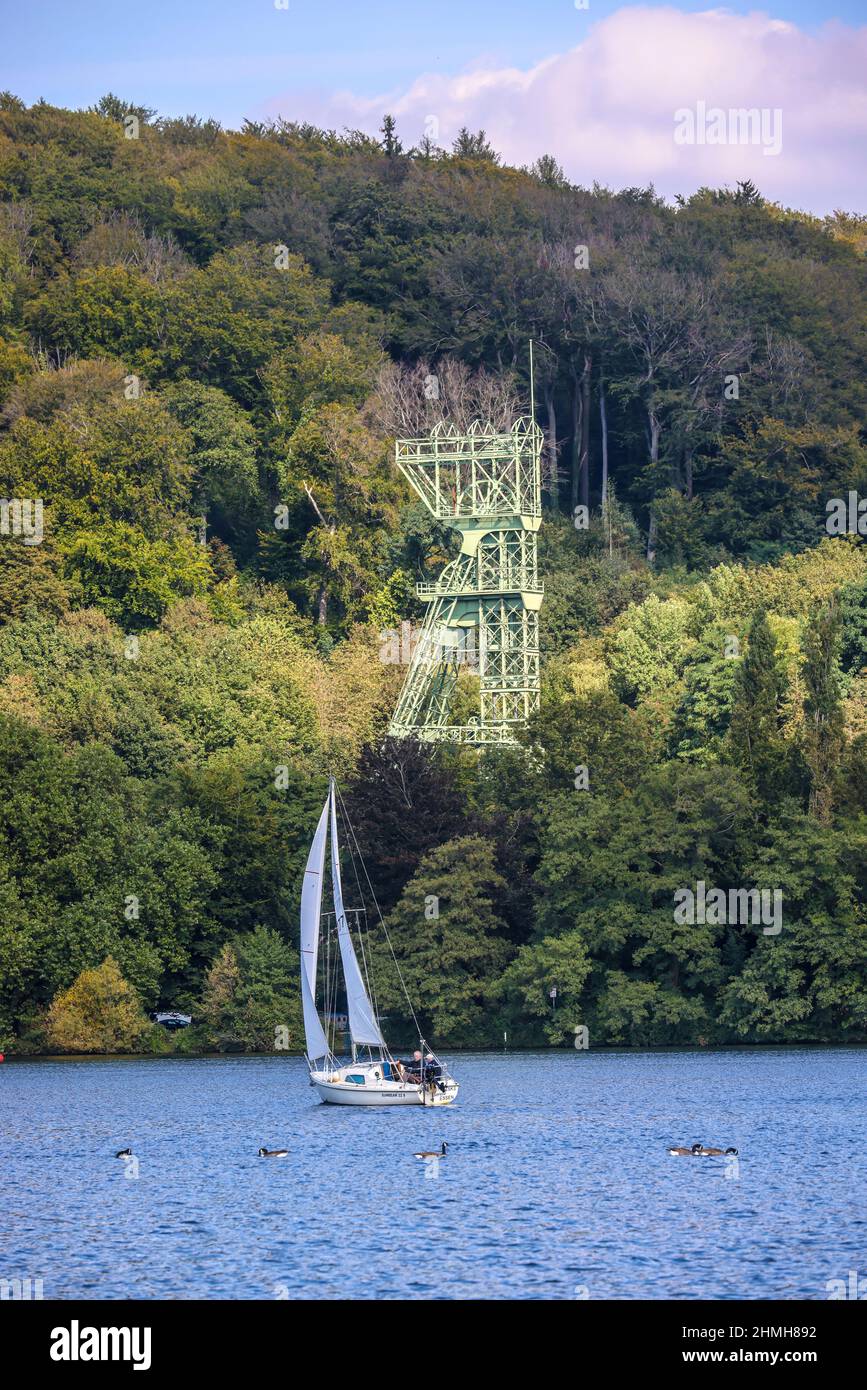 Sail The Lake x PBD Sail The Lake x PBD