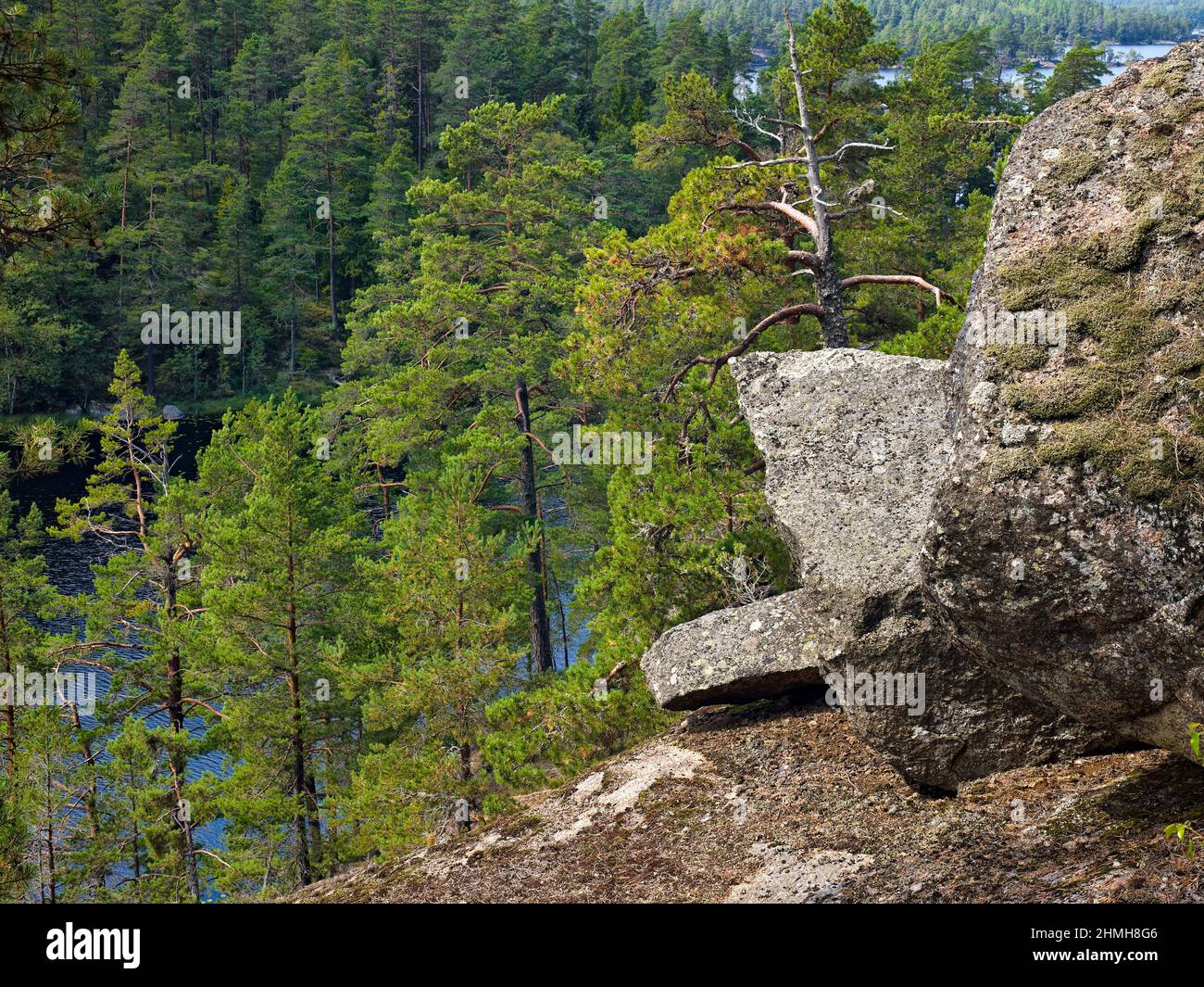 Europe, Sweden, Central Sweden, Västergötland Province, Tiveden National Park near Laxa, Berglagsleden hiking trail, granite boulders Stock Photo