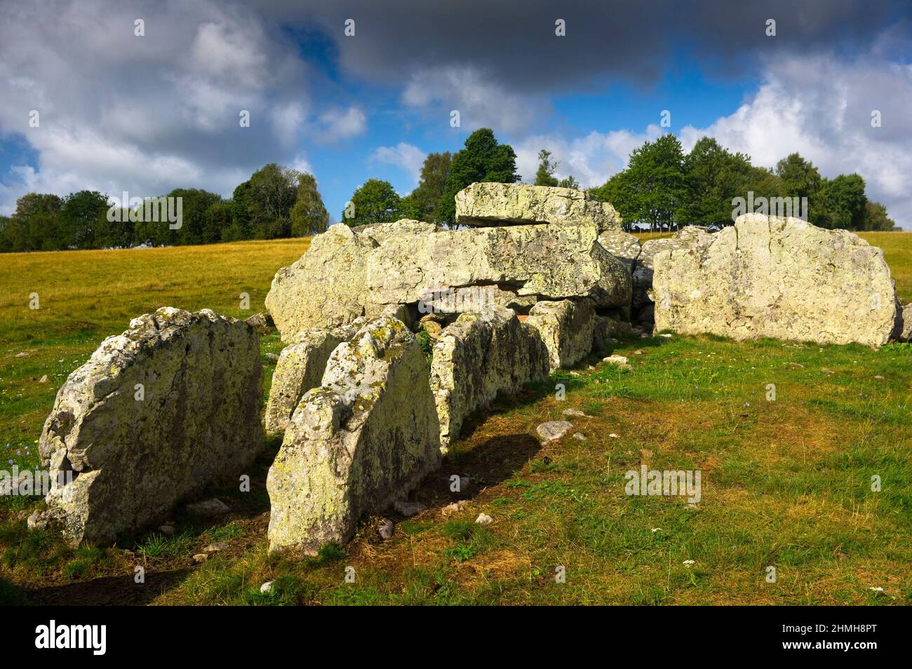 Europe, Sweden, Central Sweden, Västergötland Province, Falköping ...