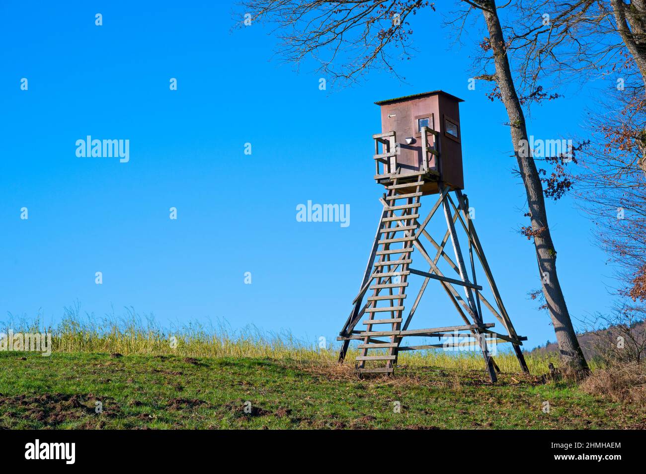 High seat at the edge of the forest, Spessart, December, Hesse, Germany, Europe Stock Photo