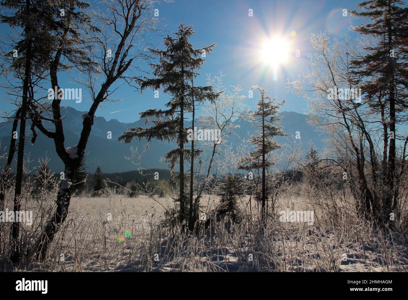 Winter hike on the Barmsee near Krün snow crystals enchant the dreamy winter landscape, in the background the Karwendel Mountains, backlit, southern Germany, Upper Bavaria, snow, winter, snowy, trees, Germany, Bavaria, Werdenfels, Stock Photo