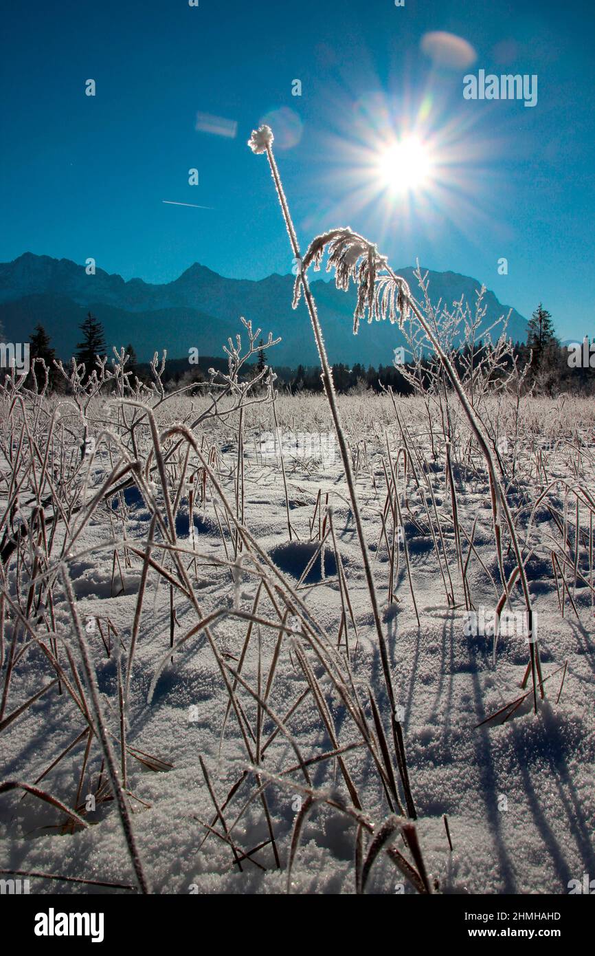 Winter hike on the Barmsee near Krün snow crystals enchant the dreamy winter landscape, in the background the Karwendel Mountains, backlit, southern Germany, Upper Bavaria, snow, winter, snowy, trees, Germany, Bavaria, Werdenfels, Stock Photo