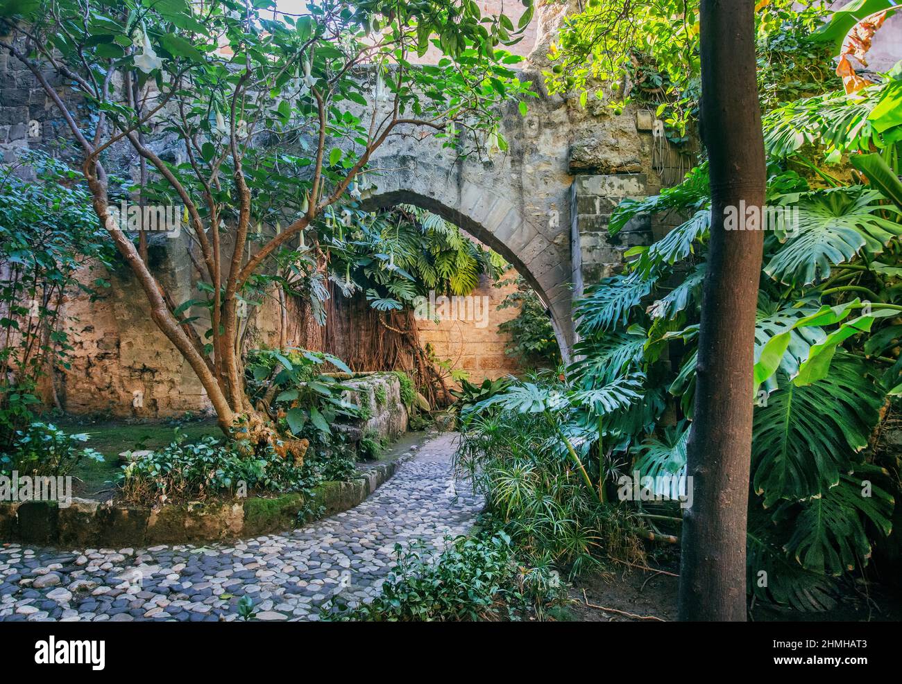 Path in the enchanted monastery garden with archway of the Church of San Giovanni degli Eremiti, Palermo, Sicily, Italy Stock Photo