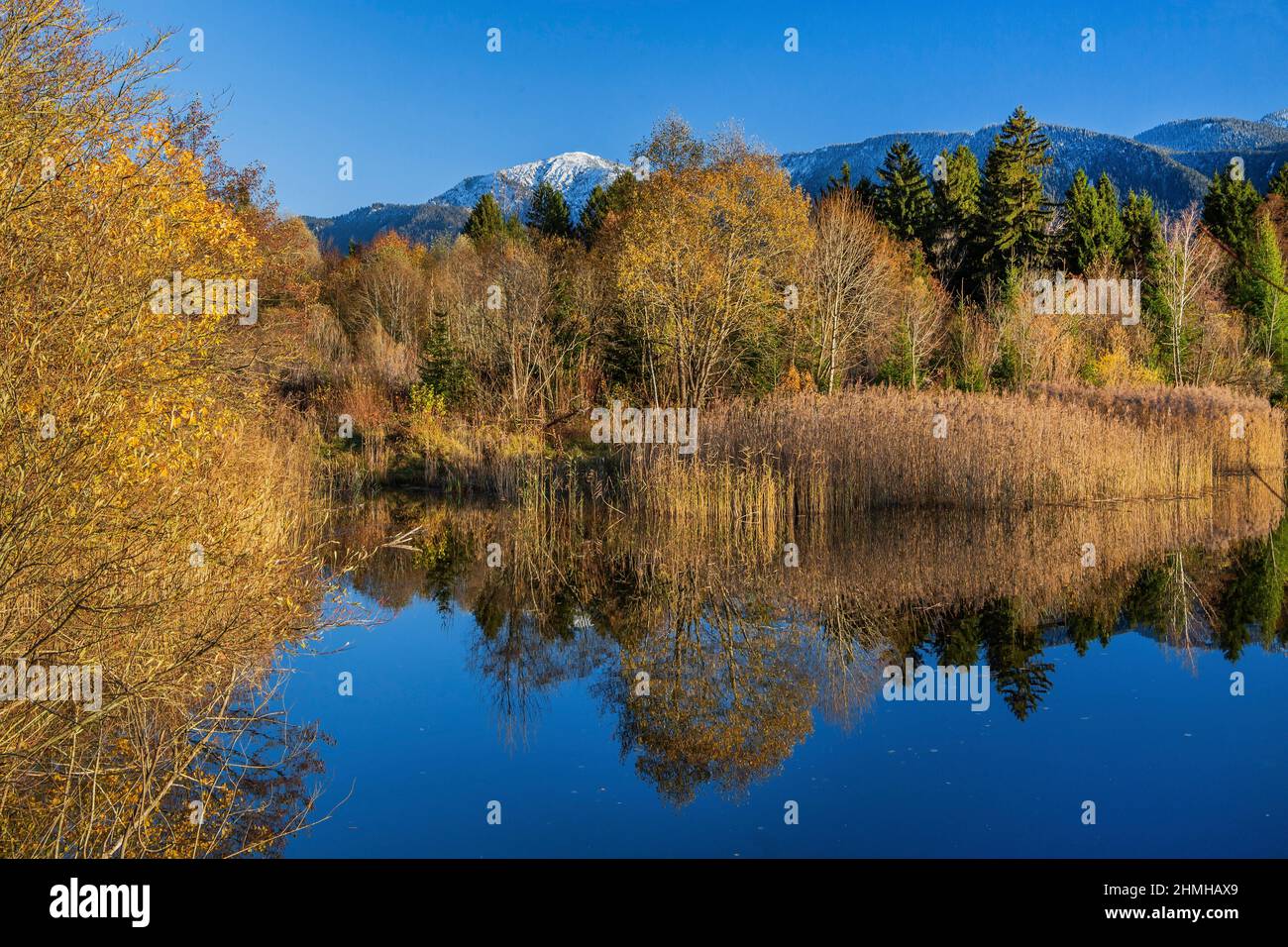 Autumn landscape with a small pond in the Murnauer Moos against Heimgarten 1791m, Murnau, Das Blaue Land, Upper Bavaria, Bavaria, Germany Stock Photo