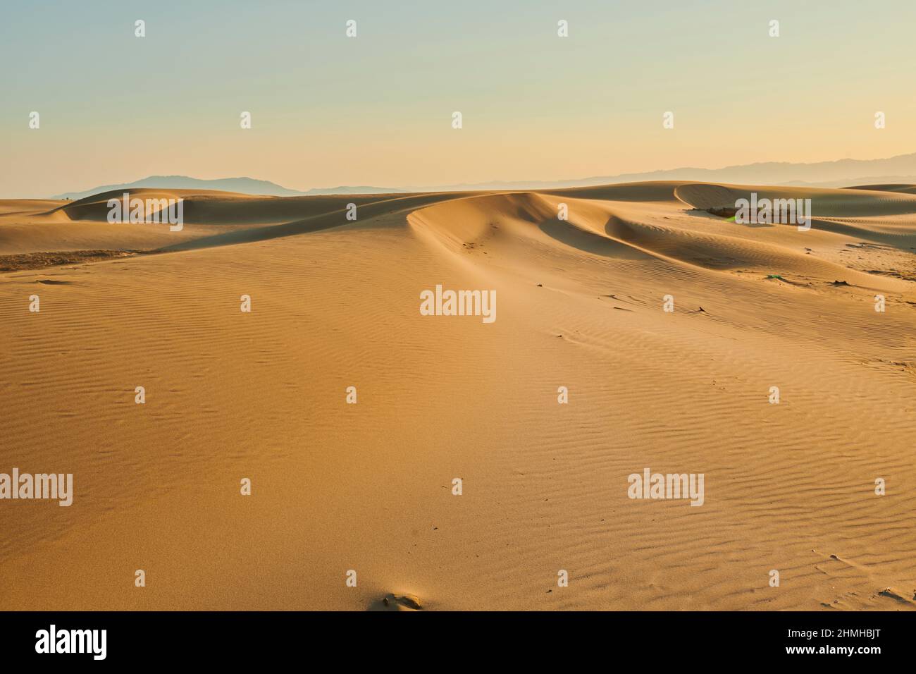 Sand dunes, Ebro River Delta, Catalonia, Spain Stock Photo