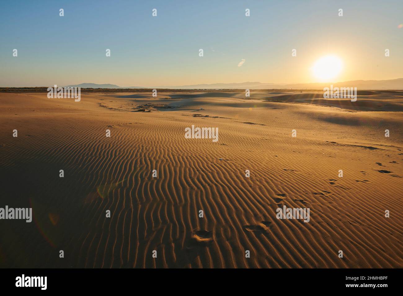 Sand dunes, Ebro River Delta, Catalonia, Spain Stock Photo