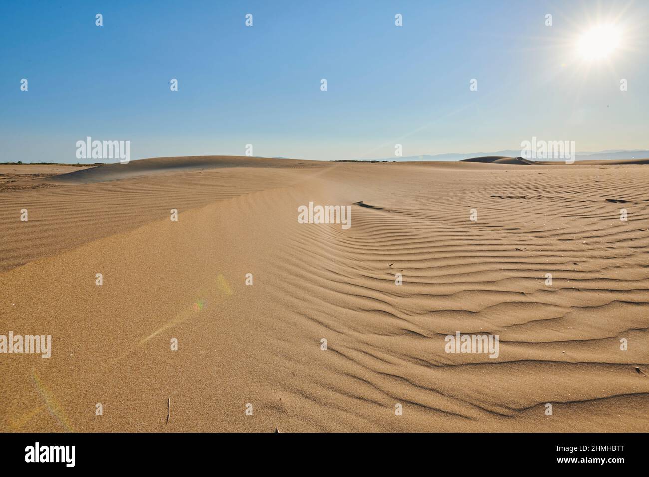 Sand dunes, Ebro River Delta, Catalonia, Spain Stock Photo