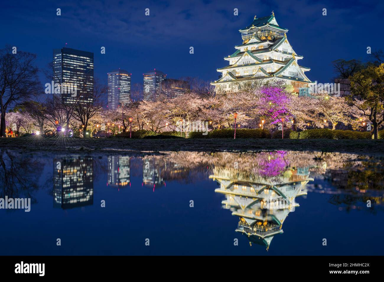 Osaka Castle with cherry trees and modern buildings in the background at night, Japan Stock Photo