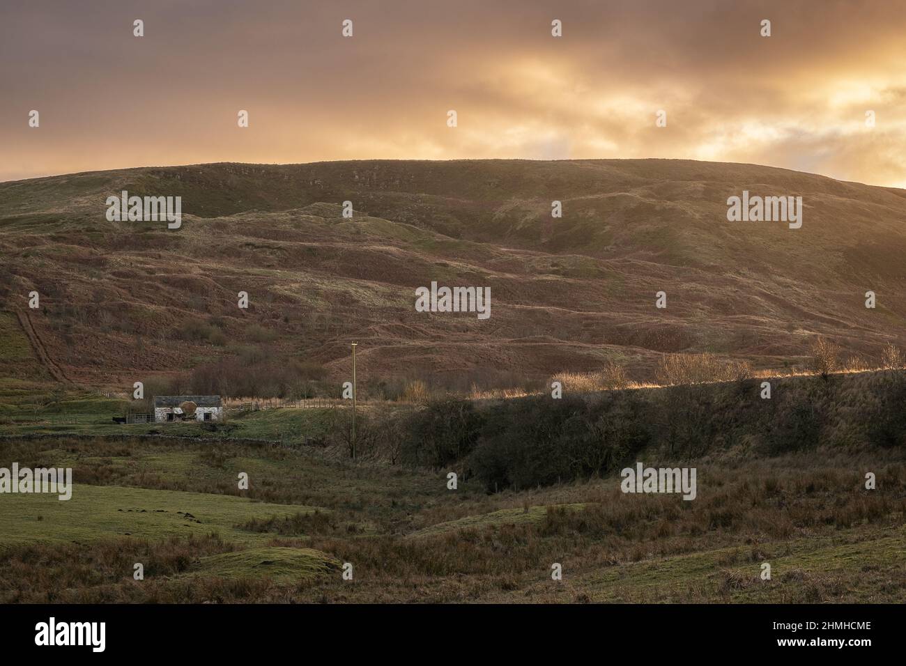 Ruined cottage below a bracken covered fell at sunset in Geltsdale Nature Reserve near Brampton in Cumbria in winter. Stock Photo