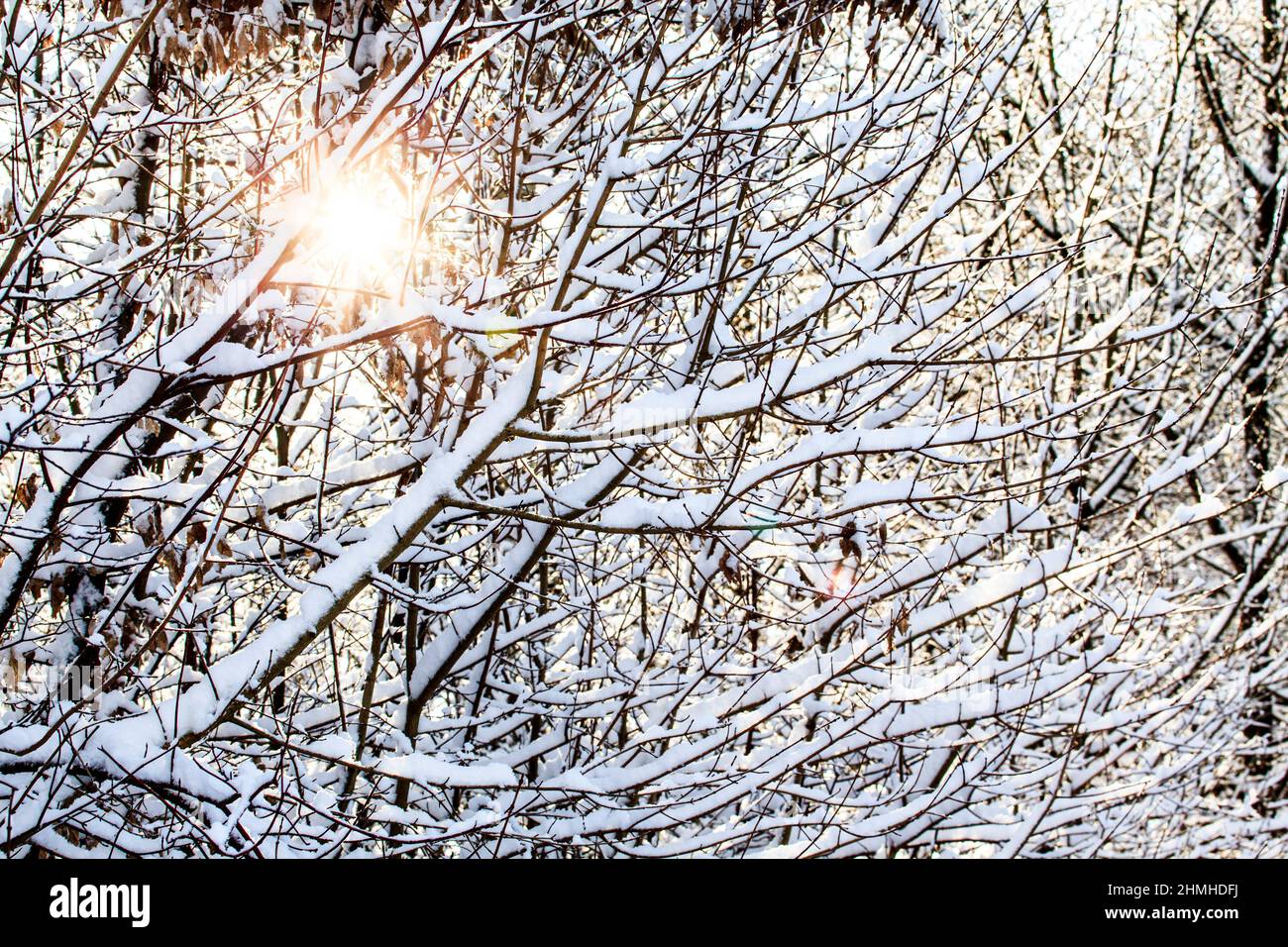 Sunny winter day Stock Photo