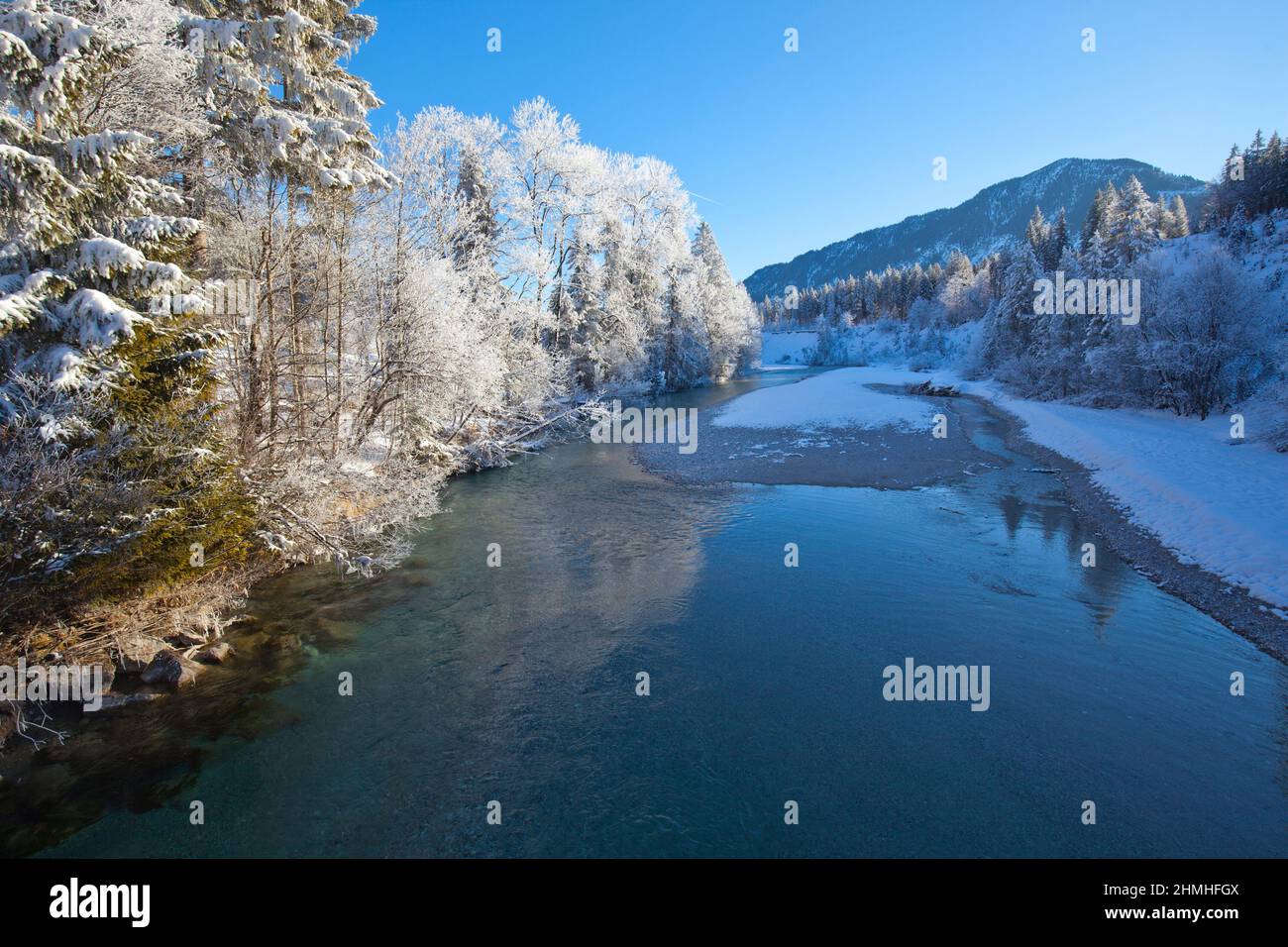 Trees covered with hoarfrost at the Isar river in the Isarwinkel, Upper Bavaria, Germany Stock Photo