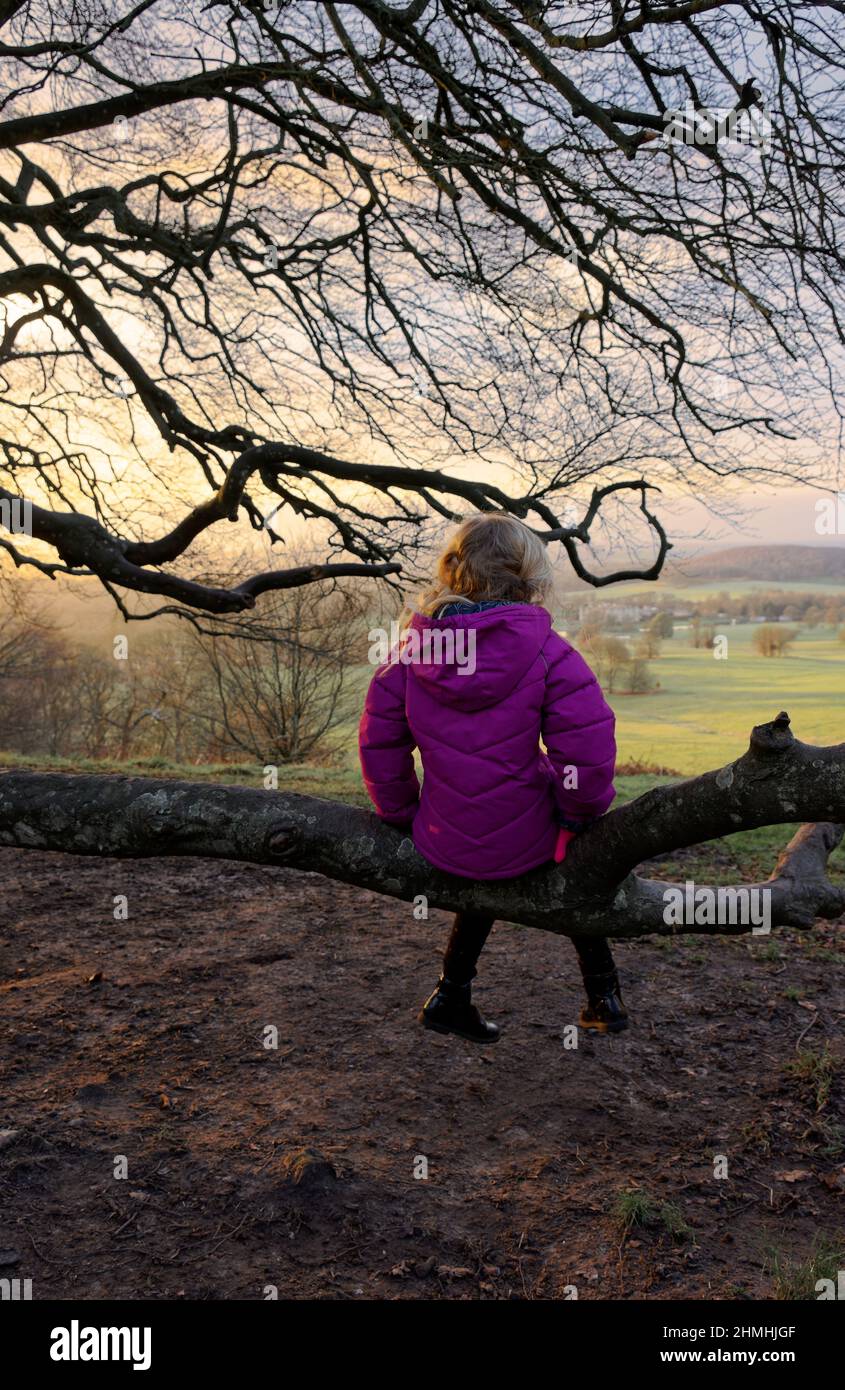 Heaven's gate longleat pink dramatic sunset Stock Photo