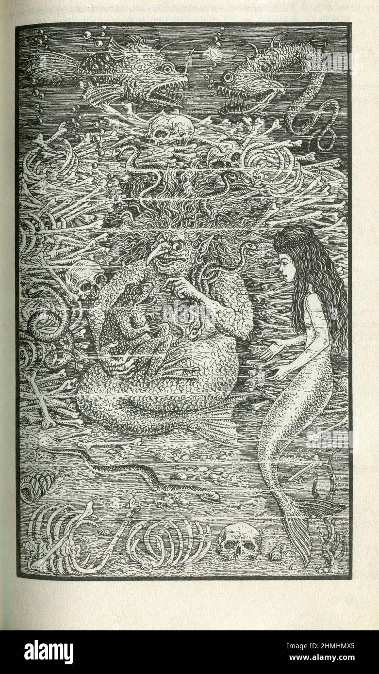 The Wild Swans (Danish: De vilde svaner) is a literary fairy tale by ...
