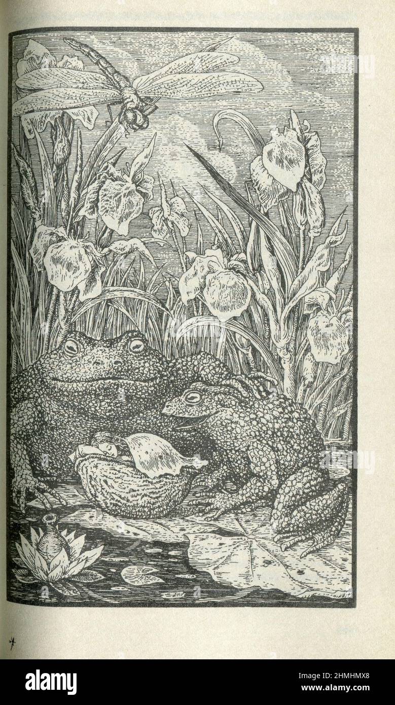 The Wild Swans (Danish: De vilde svaner) is a literary fairy tale by ...
