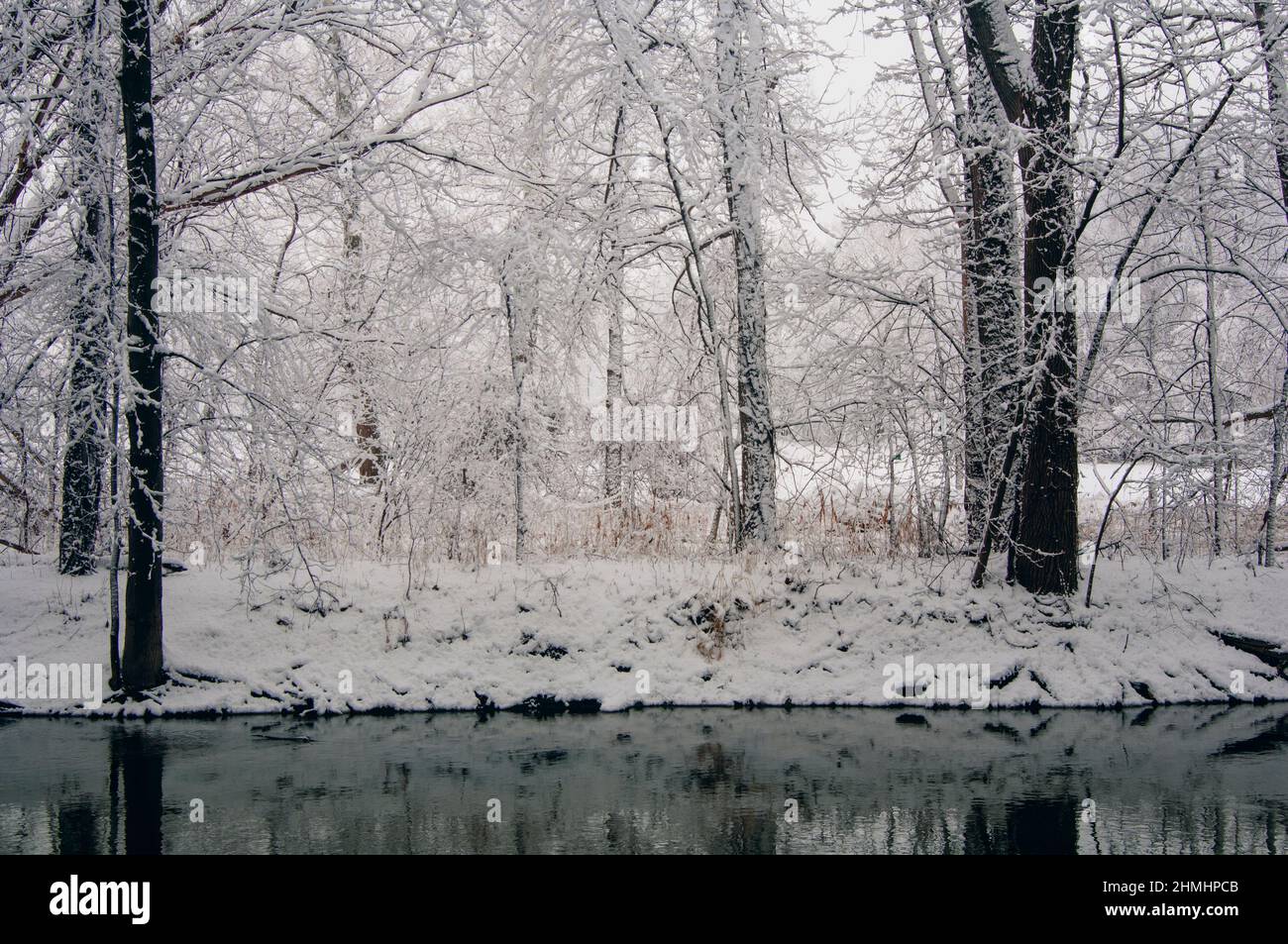 Fresh Snow in Clinton River Watershed, Sterling Heights, Michigan Stock Photo