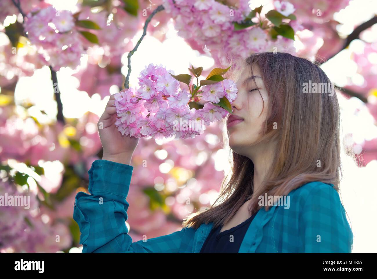 young girl smelling pink blossoms Stock Photo - Alamy