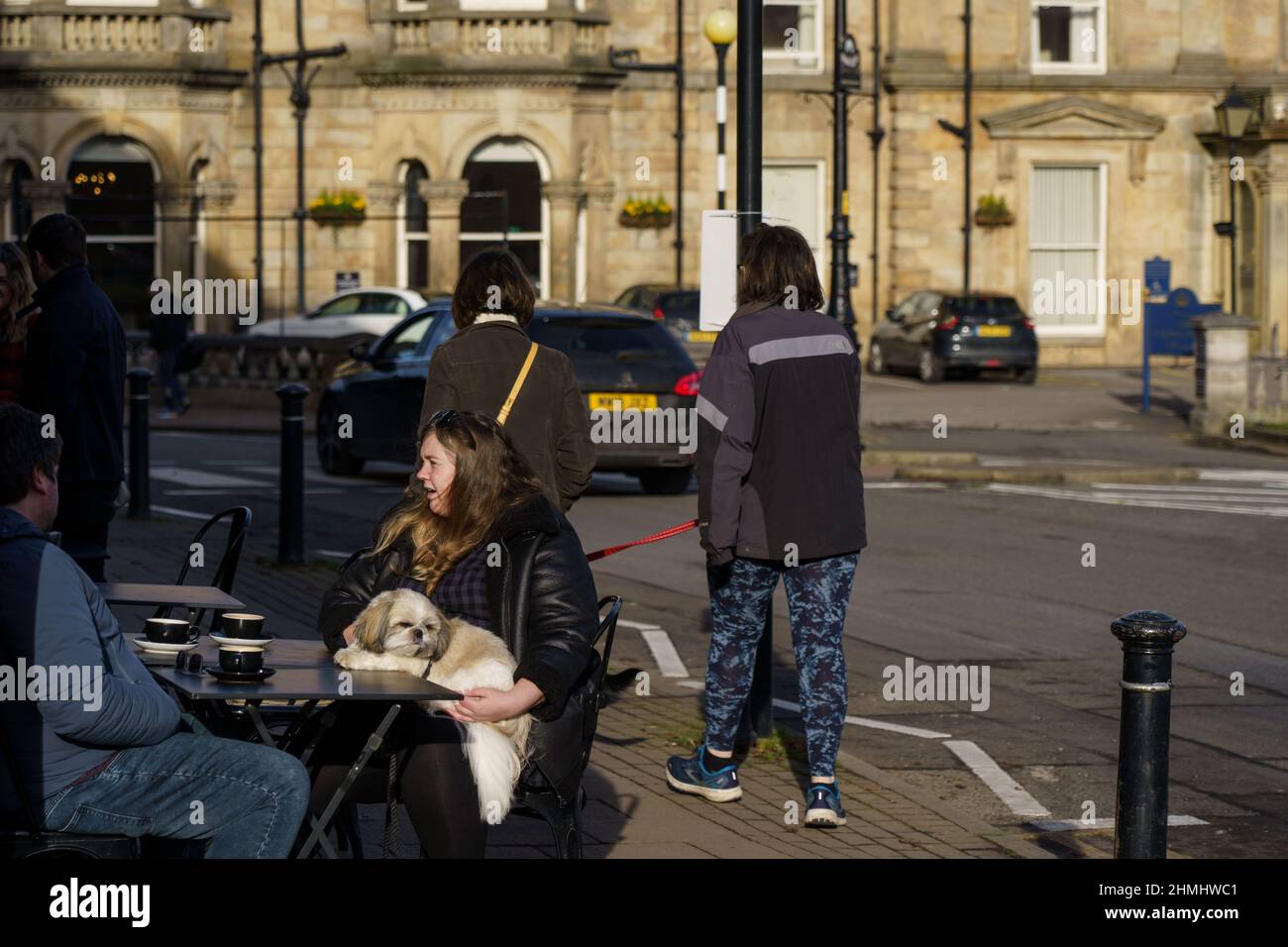 A Harrogate coffee shop's outdoor table had a gorgeous Pekingese dog sitting on it's owner's lap,North Yorkshire, England, UK. Stock Photo