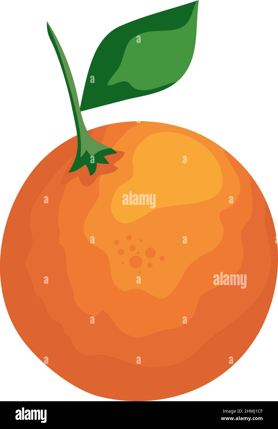 fresh orange fruit Stock Vector Image & Art - Alamy