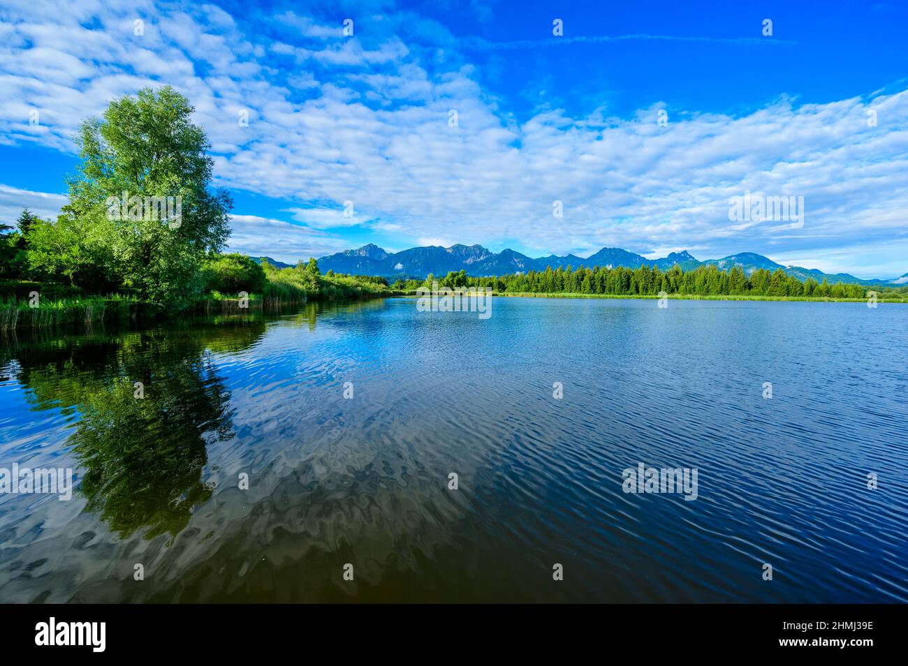 stellenangebote füssen