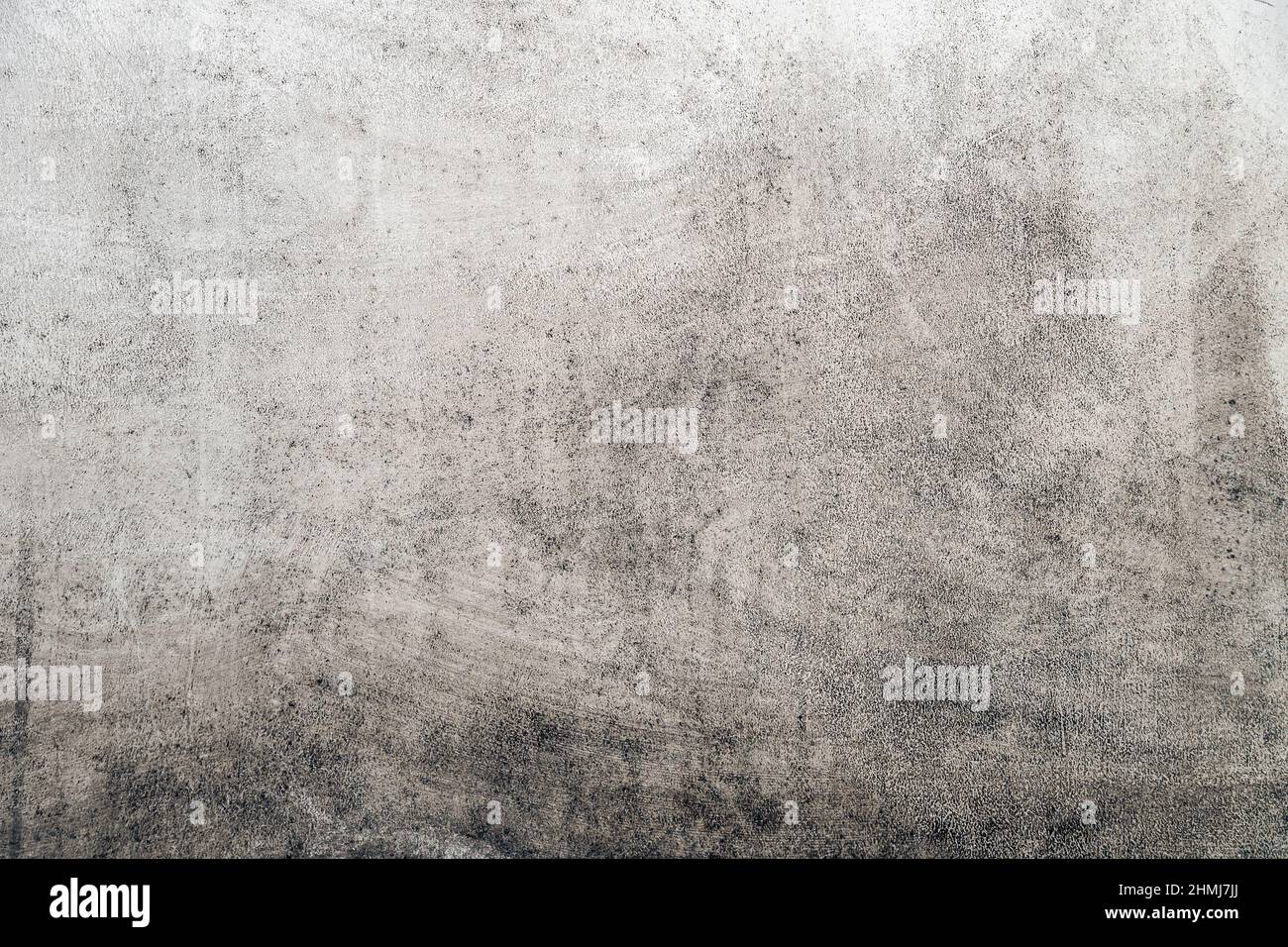 Mold on a white wall, background, copy space Stock Photo
