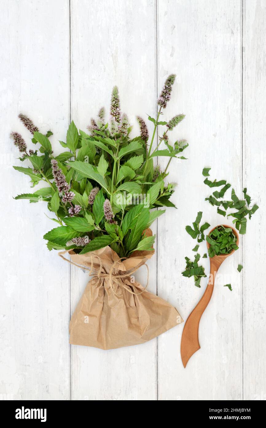 Fresh peppermint herb leaves used in herbal plant medicine to treat ibs