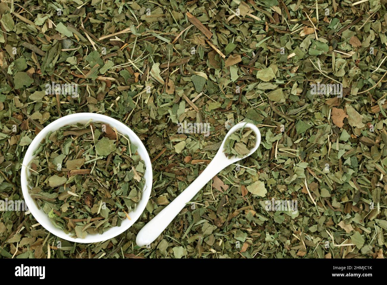 Lungwort herb leaf used in herbal medicine to treat lung diseases and