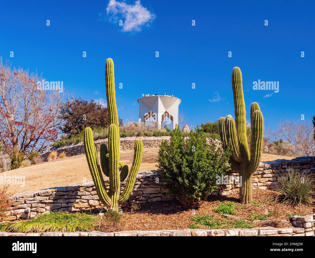 San antonio botanical garden hi-res stock photography and images - Alamy