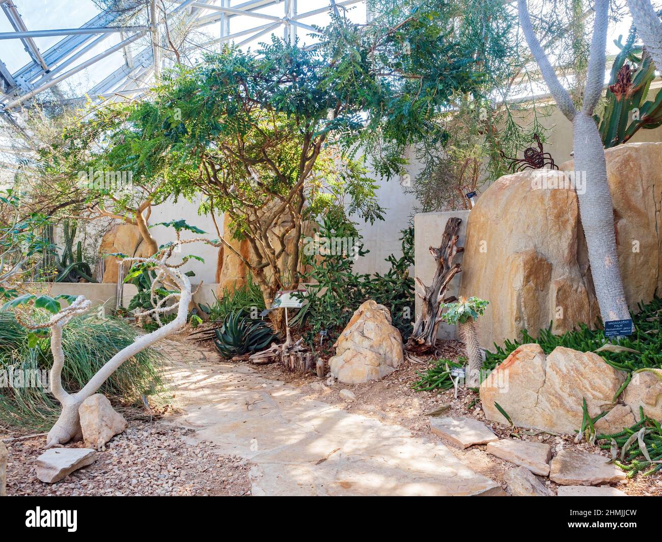 Interior view of landscape in green house of San Antonio Botanical ...