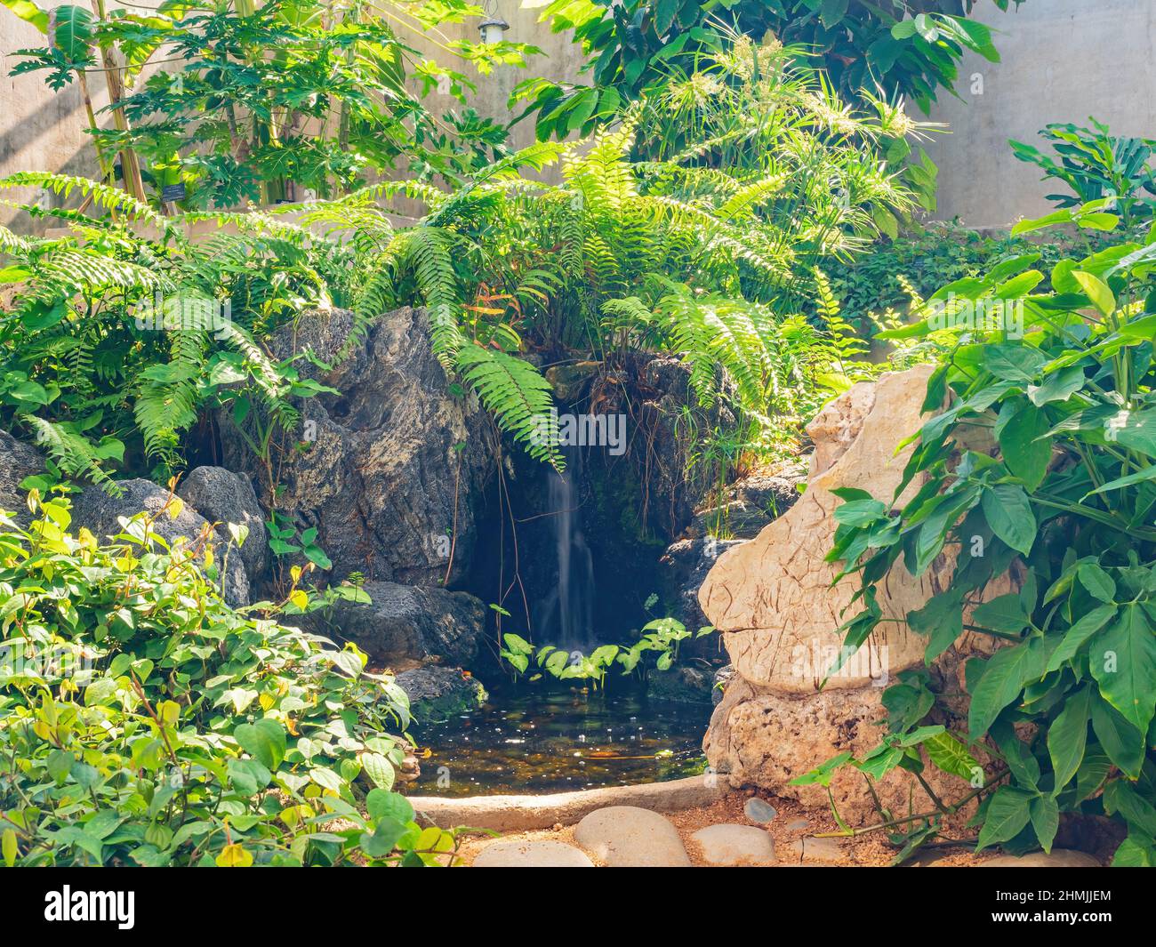 Interior view of landscape in green house of San Antonio Botanical ...