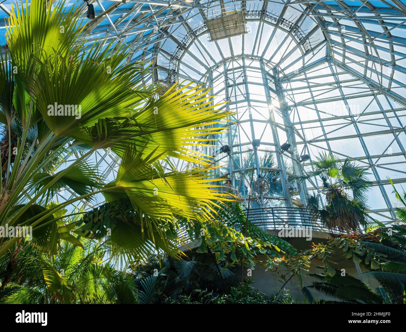 Interior view of landscape in green house of San Antonio Botanical ...