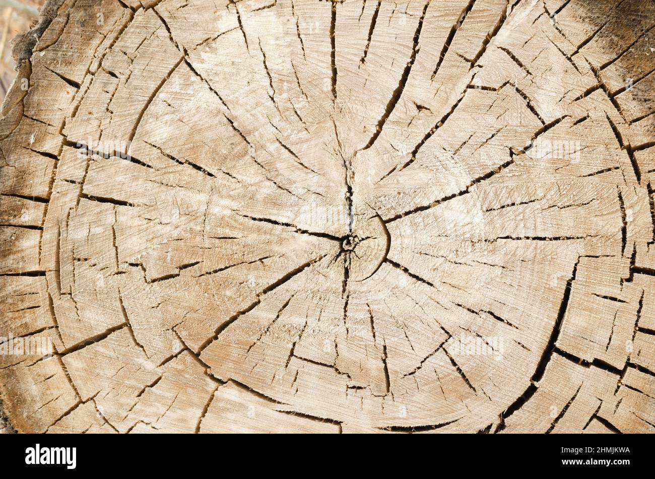Tructural Rings Texture of the three rings in the section.Close up Stock Photo - Alamy