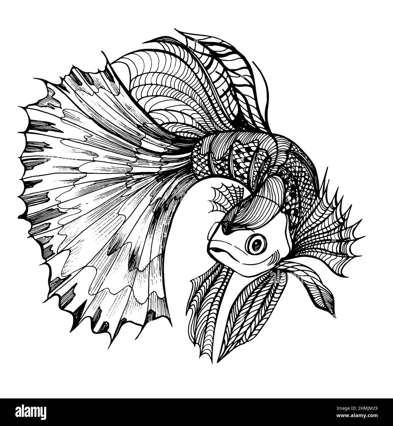 Abstract fish swims underwater. Koi carp for coloring book. Stock Vector