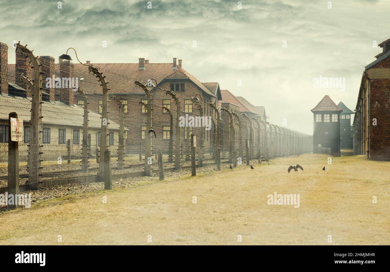 AUSCHWITZ, POLAND - March 30 2012 Holocaust Memorial Museum. Barbed wire around a concentration camp with crows and shed guard in the background. Stock Photo