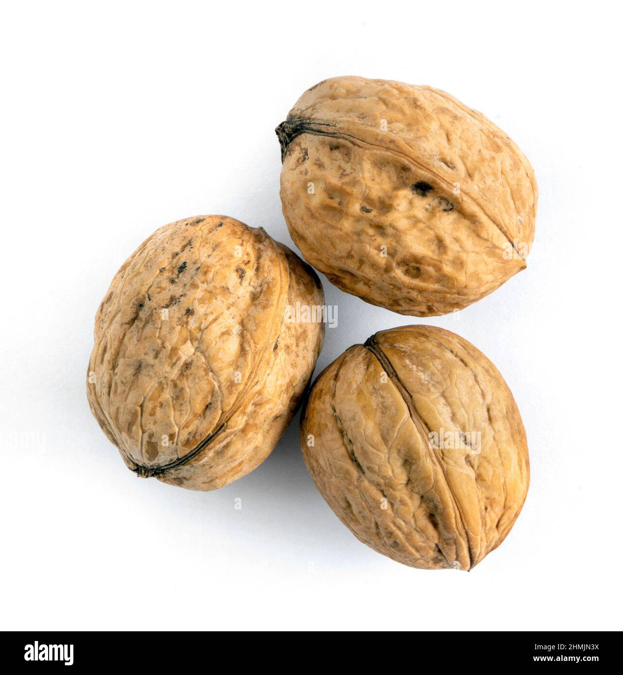 Whole solid walnuts on white background Stock Photo