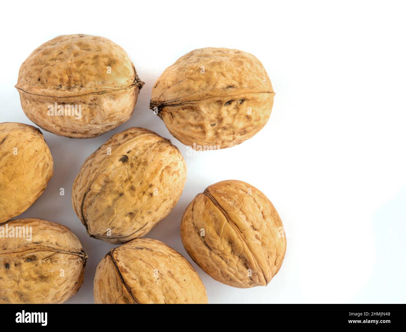 Whole solid walnuts on white background Stock Photo