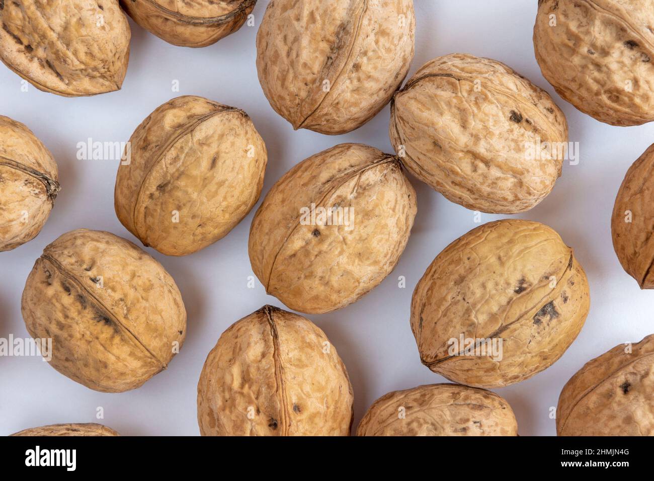 Whole solid walnuts on white background Stock Photo