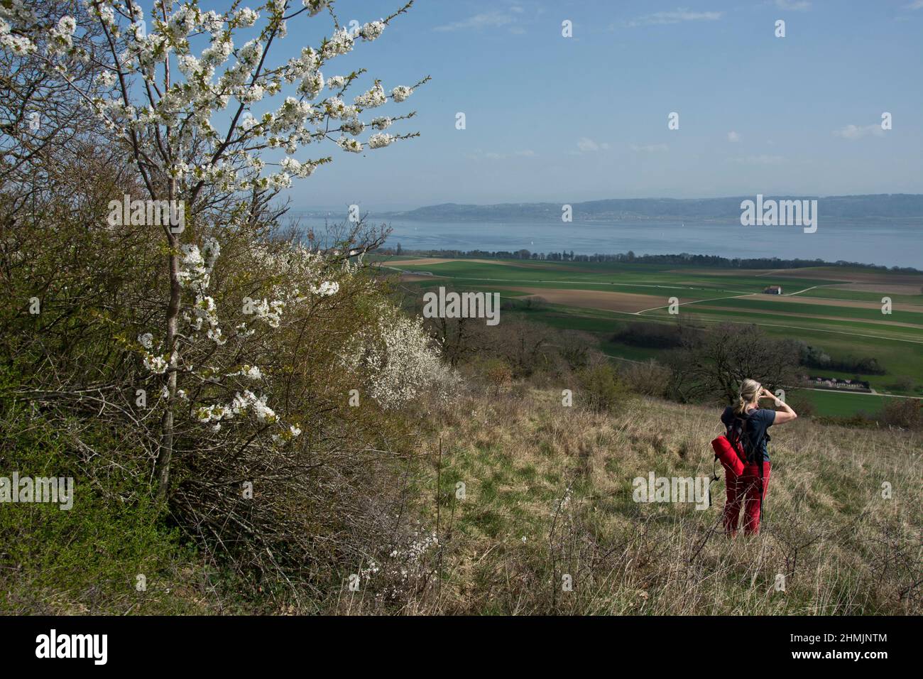 Eine Frau blickt vom Naturschutzgebiet Chassagne auf den Neuenburgersee Stock Photo
