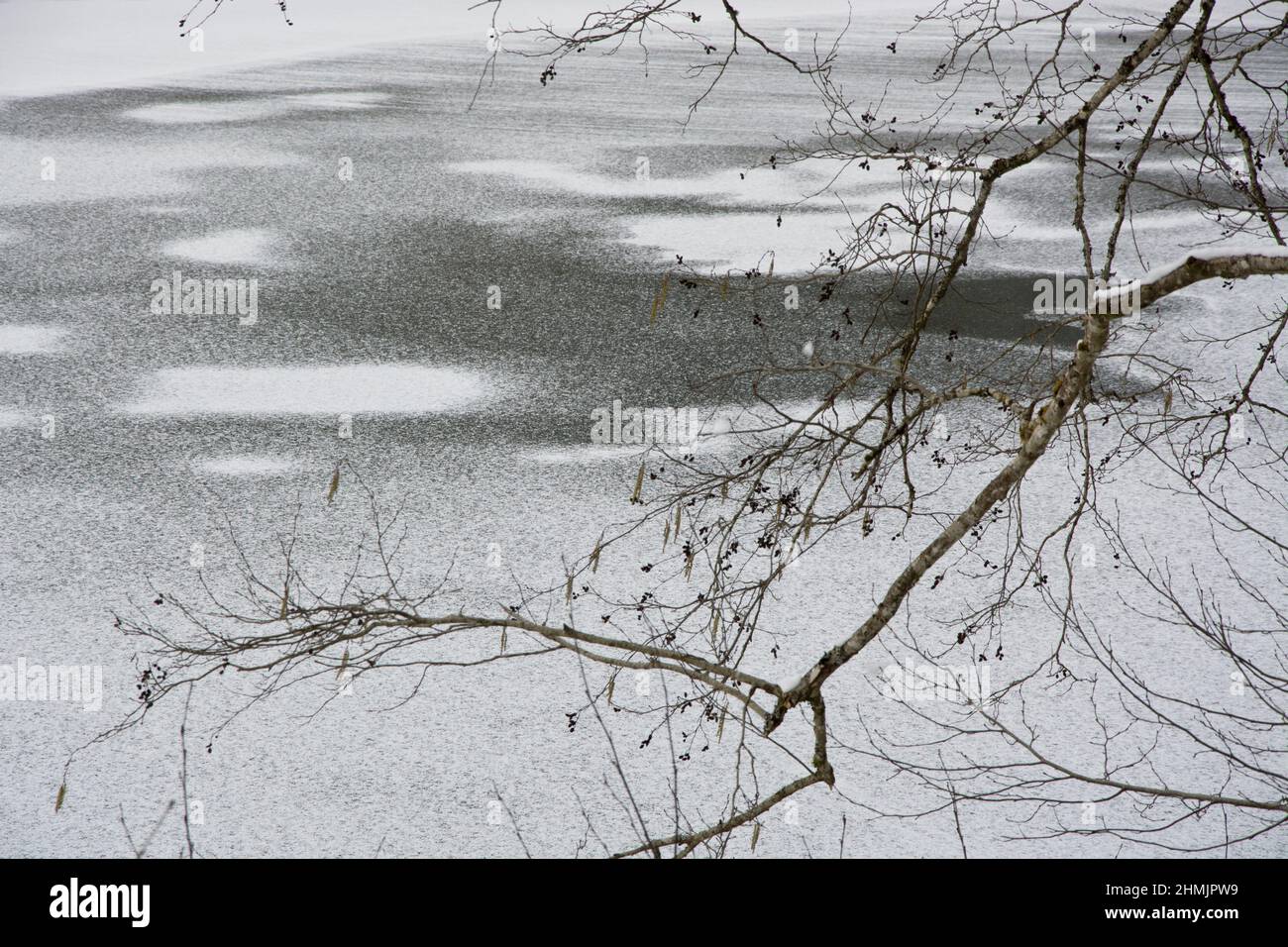 Schattierungen von schwarz und weiss auf einem gefrorenen Teich Stock Photo