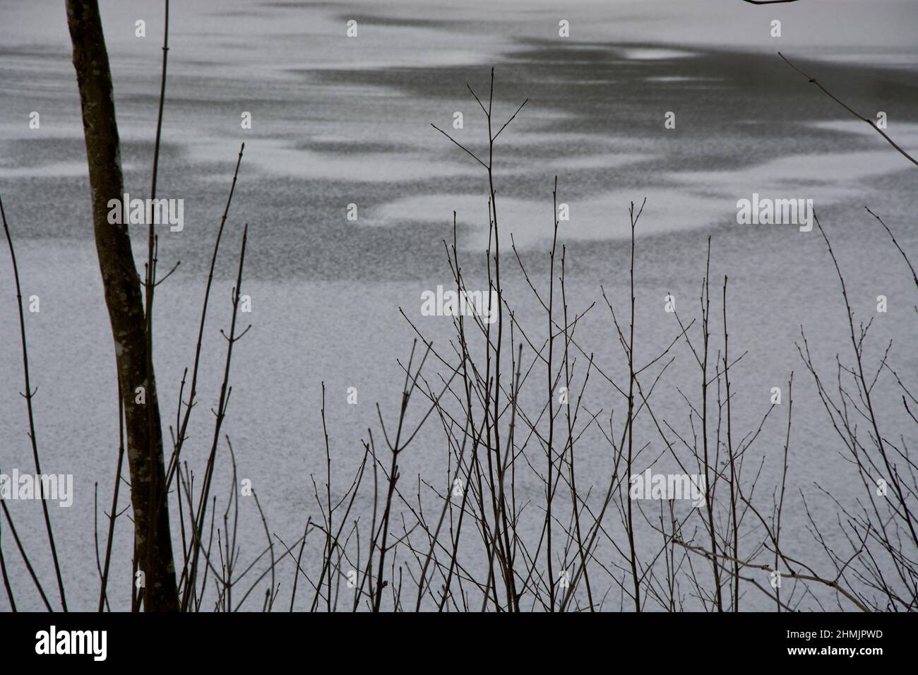 Schattierungen von schwarz und weiss auf einem gefrorenen Teich Stock Photo