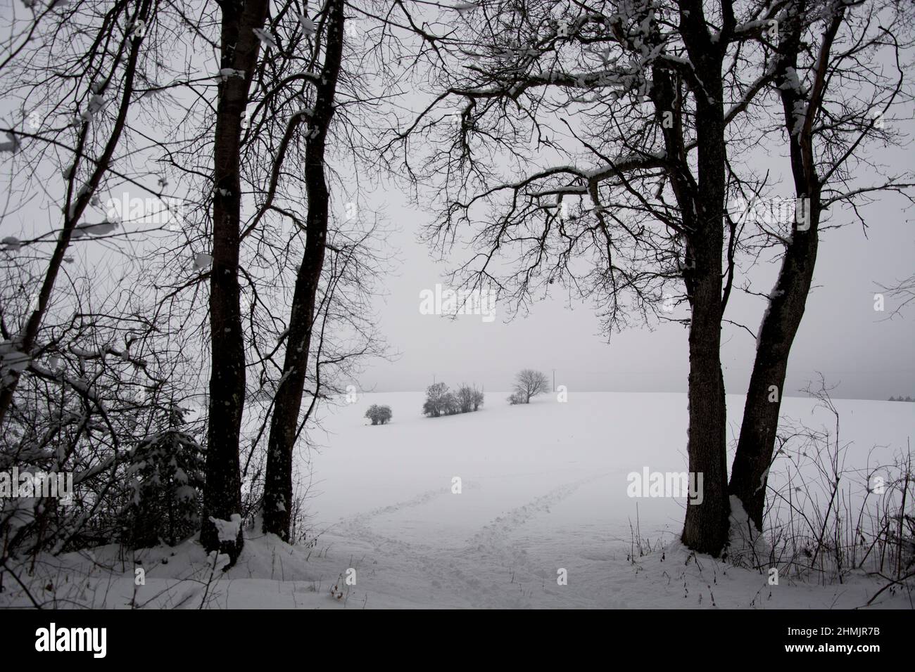 Fussspuren im Schnee führen in die offene Kulturlandschaft Stock Photo